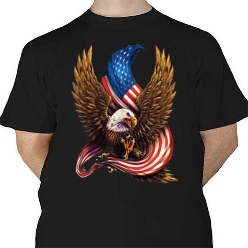 Eagle Flag DTF | Heat Transfer Source