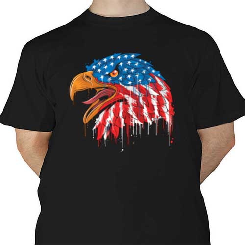 Eagle Flag Head USA DTF | Heat Transfer Source